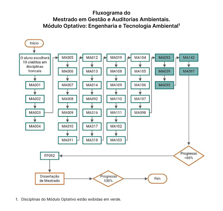 Diagrama de Flujo Módulo Optativo_Ingeniería y Tecnología Ambiental_.JPG